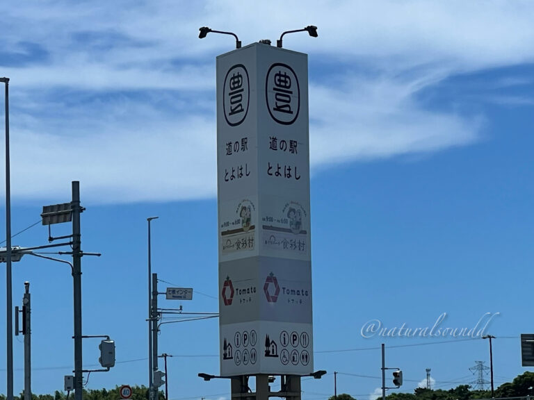 道の駅とよはし