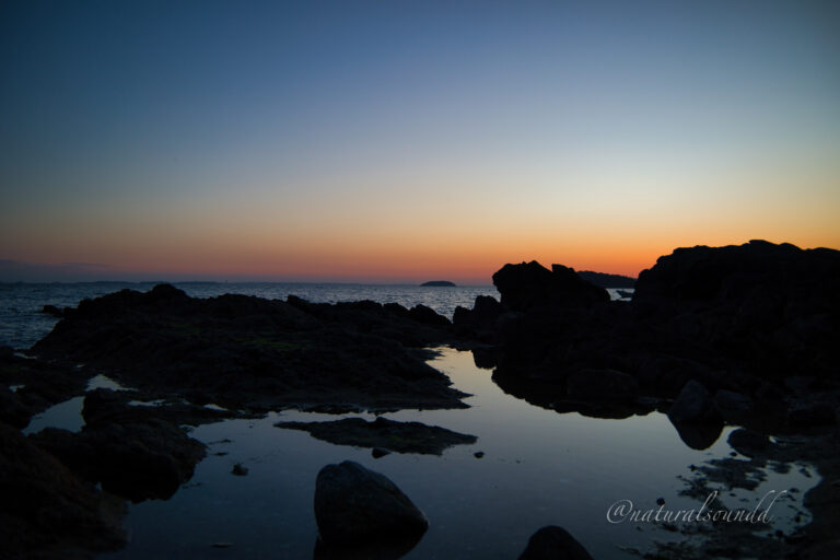 夕方の海