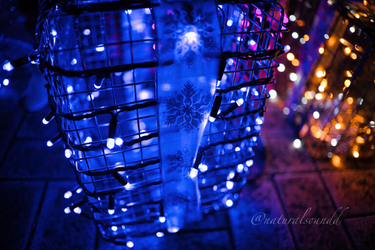 クリスマスのLEDライト