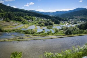 坂折棚田